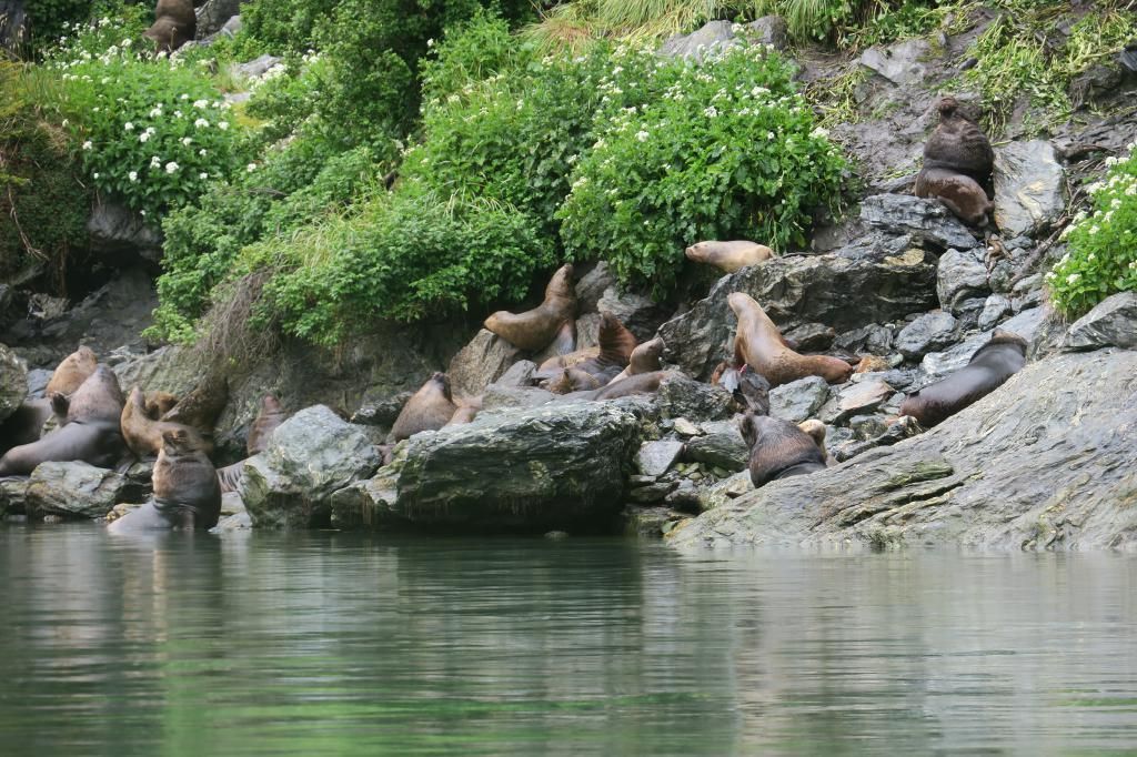 Garibaldi Fjord