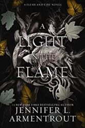 Flesh and Fire 2 - A Light in the Flame - Jennifer L. Armentrout